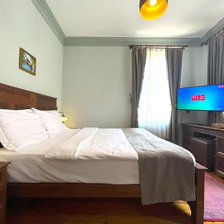 Flex Pera 公寓 伊斯坦布尔